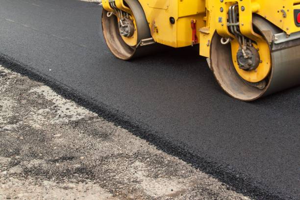 Best Residential Paver Driveway  in Weldon, NC